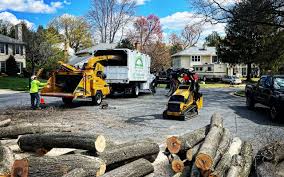 How Our Tree Care Process Works  in  Bull Run Mountain Estates, VA