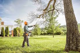 Tree and Shrub Care in Bull Run Mountain Estates, VA