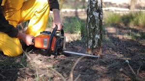 Best Lawn Grading and Leveling  in Bull Run Mountain Estates, VA