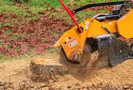 Best Tree Removal  in Bull Run Mountain Estates, VA