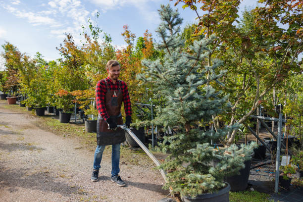 Best Tree Risk Assessment  in Bull Run Mountain Estates, VA