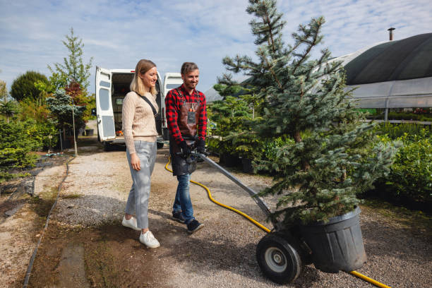 Best Tree Mulching  in Bull Run Mountain Estates, VA
